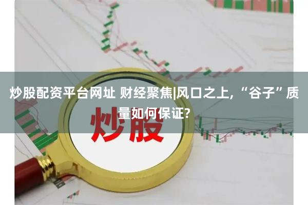 炒股配资平台网址 财经聚焦|风口之上, “谷子”质量如何保证?